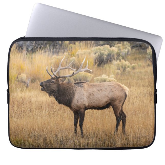 Bull Elk | Yellowstone nationalpark Laptop Fodral (Framsidan)