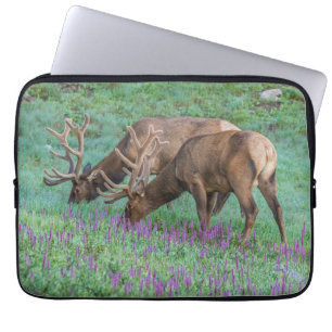 Bull Elks Rocky Mountain National Park, Colorado Laptop Fodral
