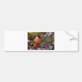 Bull Finch Bildekal