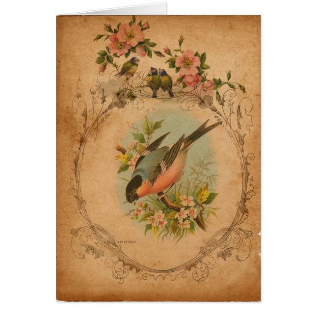 Bull Finch Digital Art Tillfällen Greeting Card Hälsningskort (Framsidan)