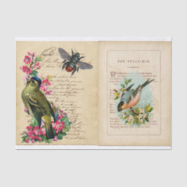 Bull Finch Ephemera Bok sidor med bin och fåglar
