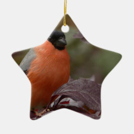 Bull Finch Julgransprydnad Keramik