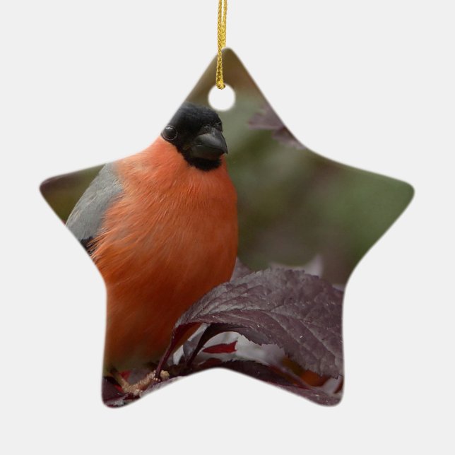 Bull Finch Julgransprydnad Keramik (Framsidan)
