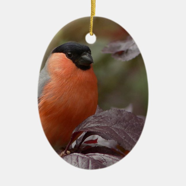 Bull Finch Julgransprydnad Keramik (Framsidan)