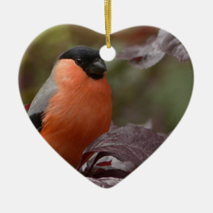Bull Finch Julgransprydnad Keramik