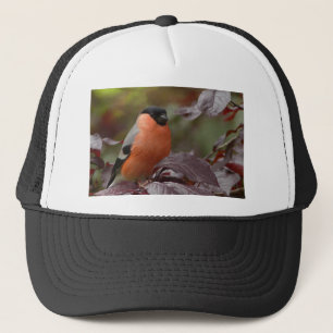 Bull Finch Truckerkeps