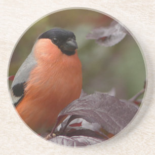 Bull Finch Underlägg Sandsten