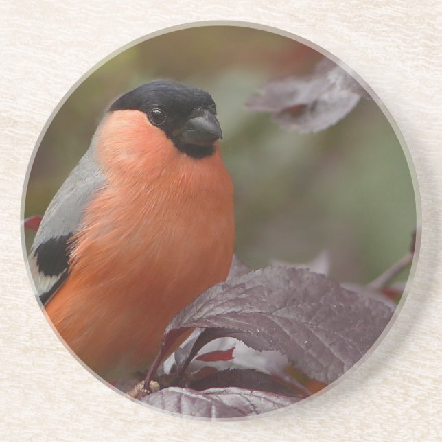 Bull Finch Underlägg Sandsten (Framsidan)