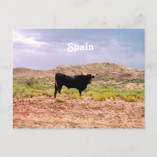 Bull i Spanien Vykort (Framsida)