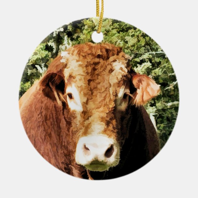 BULL JULGRANSPRYDNAD KERAMIK (Framsidan)