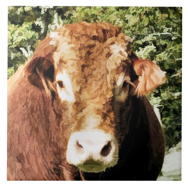 BULL KAKELPLATTA (Framsidan)
