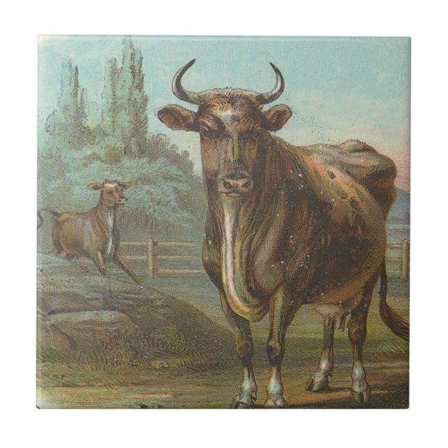 Bull Kakelplatta (Framsidan)