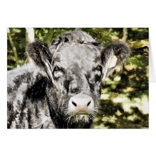 BULL-KORT HÄLSNINGSKORT (Framsidan Horizontal)