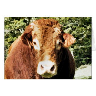 BULL-KORTET HÄLSNINGSKORT