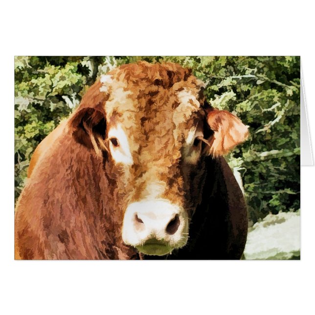 BULL-KORTET HÄLSNINGSKORT (Framsidan Horizontal)