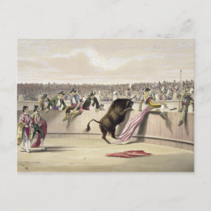 Bull Leaping the Barriers, 1865 (färg litho) Vykort