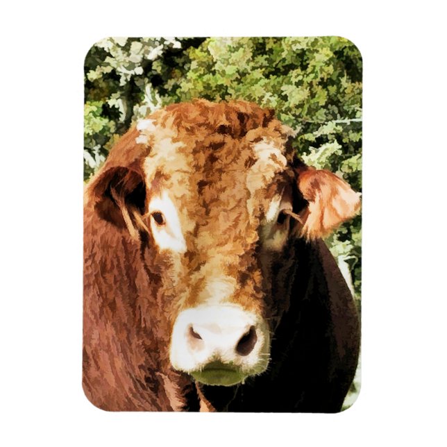 BULL MAGNET (Vertikal)