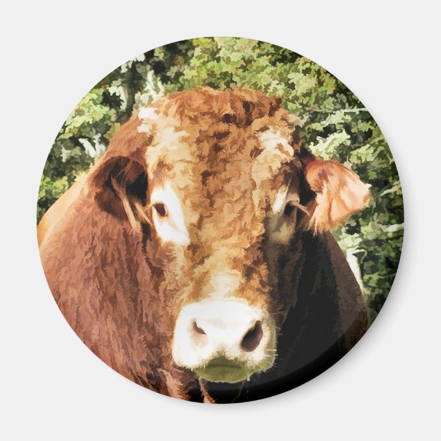 BULL MAGNET (Framsidan)