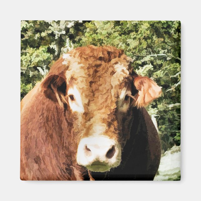BULL MAGNET (Framsidan)
