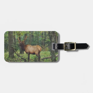 Bull Male Elk på hösten fält Bagagebricka