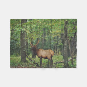 Bull Male Elk på hösten fält Fleecefilt