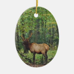 Bull Male Elk på hösten fält Julgransprydnad Keramik