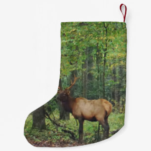 Bull Male Elk på hösten fält Liten Julstrumpa