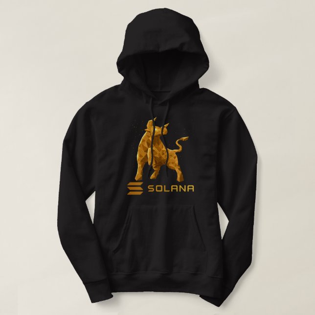 Bull Market Solana SOL Crypto Coin HODL Hoodie (Design framsida)