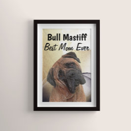 Bull Mastiff Best Mamma Poster
