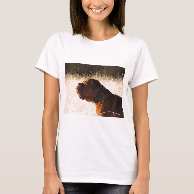 Bull Mastiff T-shirt (Framsida)