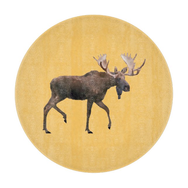 Bull Moose (Framsidan)