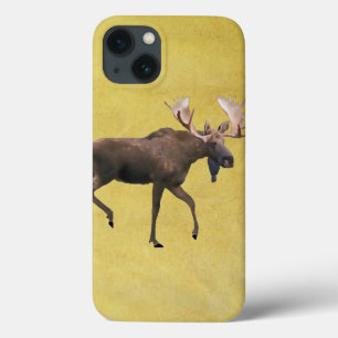 Bull Moose