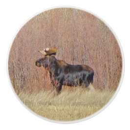 Bull Moose Anpassningsbar Ceramic Knob Knopp