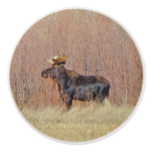Bull Moose Anpassningsbar Ceramic Knob Knopp