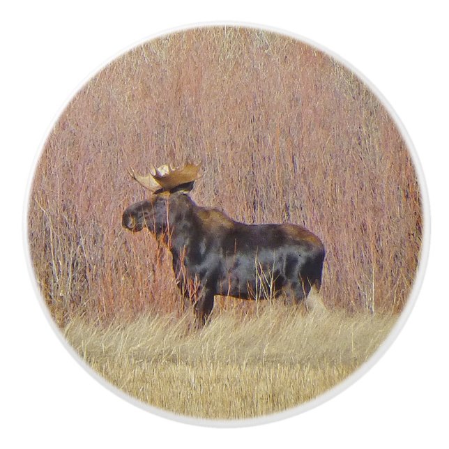 Bull Moose Anpassningsbar Ceramic Knob Knopp (Framsidan)