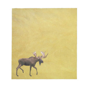 Bull Moose Anteckningsblock