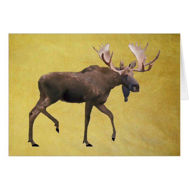 Bull Moose Hälsningskort (Framsidan Horizontal)