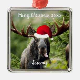 Bull Moose i Santa Hat Ornament