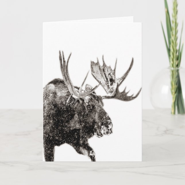 Bull Moose in Snö Greeting Card Tack Kort (Framsida)