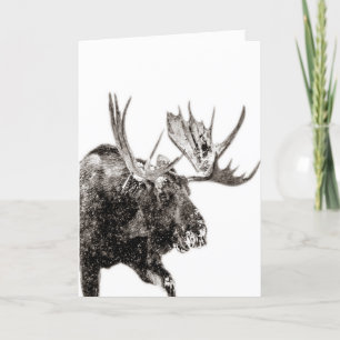 Bull Moose in Snö Greeting Card Tack Kort