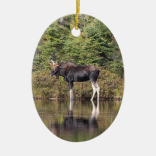 Bull Moose Julgransprydnad Keramik