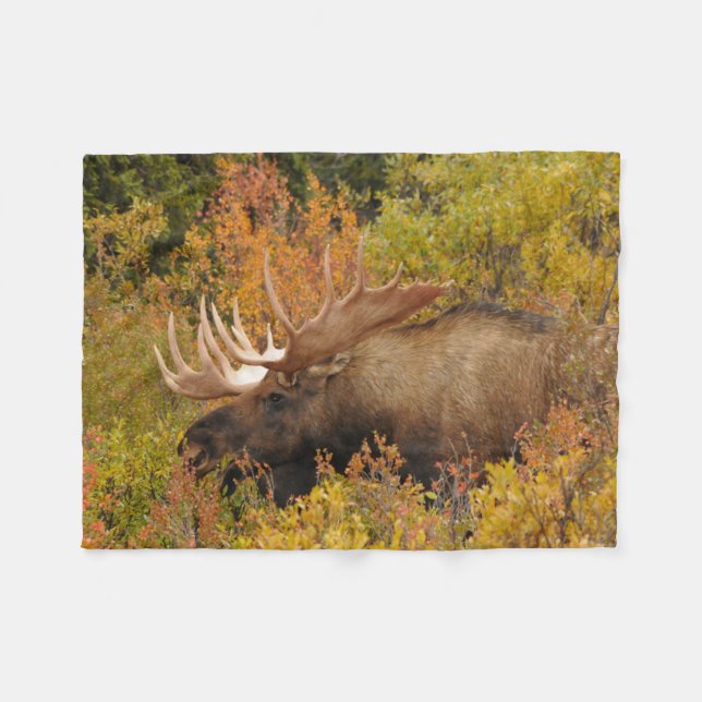 Bull Moose | Nationalparken Denali Alaska Fleecefilt (Framsidan (Horisontell))