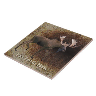 Bull Moose On Västindiou Päls Kakelplatta