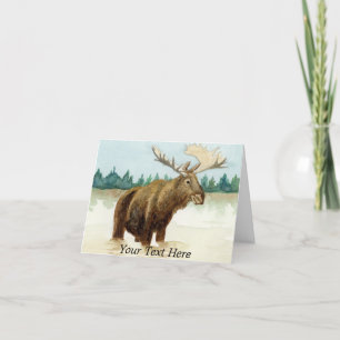 Bull Moose Tack Kort