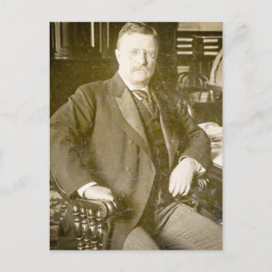 Bull Moose Teddy Roosevelt Vintage Vykort