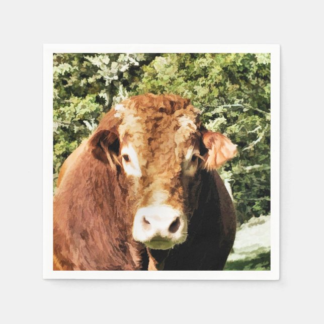 BULL PAPPERSSERVETT (Framsidan)