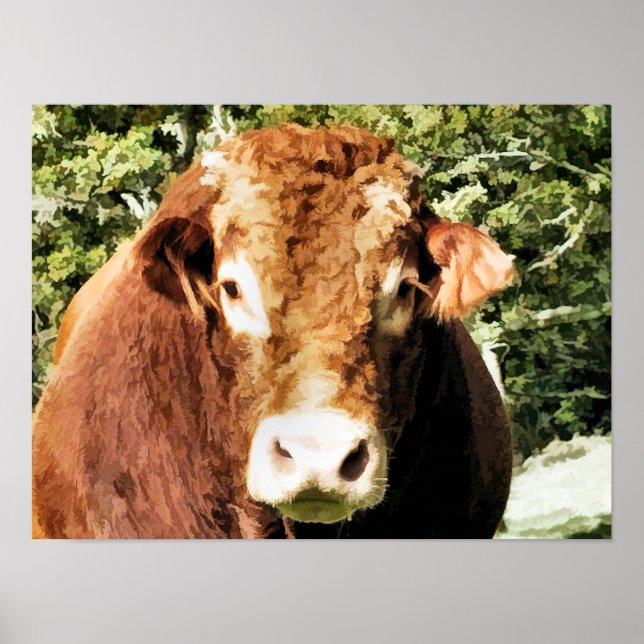 BULL POSTER (Framsidan)