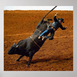 Bull Rider Poster