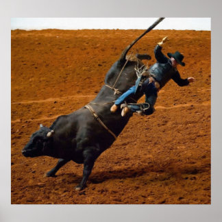 Bull Rider Poster