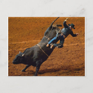 Bull Rider Vykort